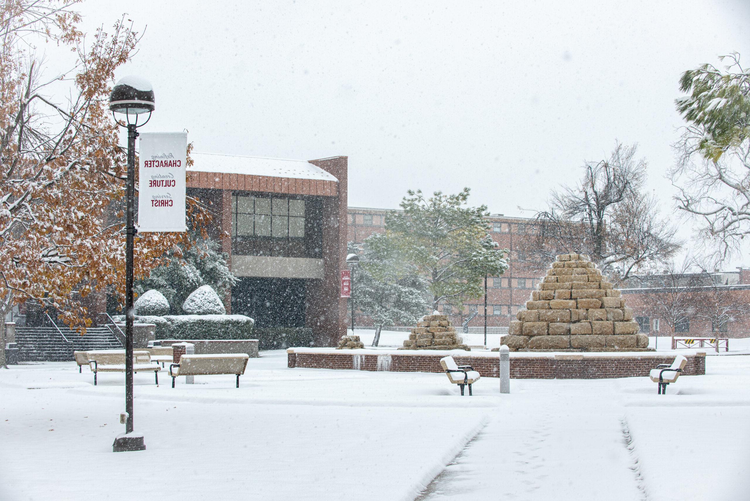 SNU Offered FREE Winter Mini-Term Online