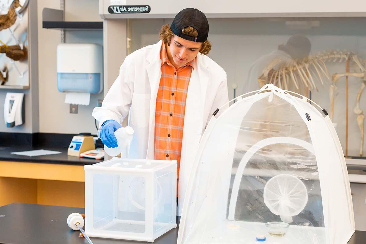 student working in lab